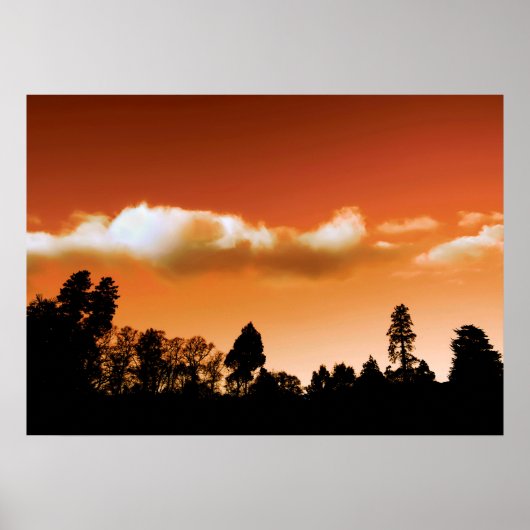Shark silhouet poster (Voorkant)