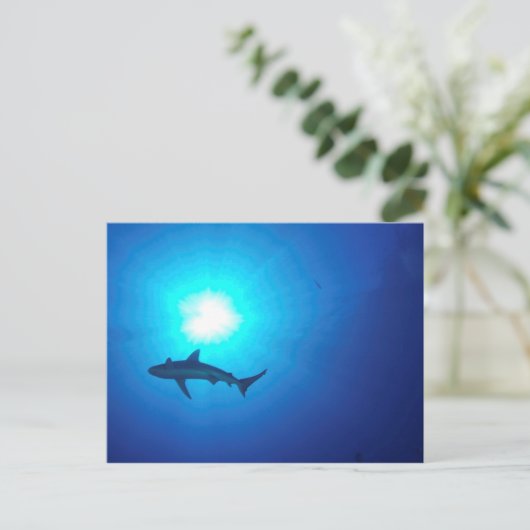 Shark Silhouette Briefkaart (Staand voorkant)