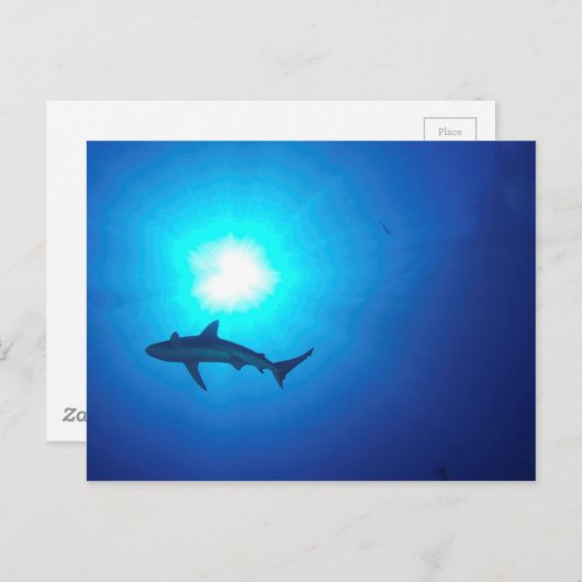 Shark Silhouette Briefkaart (Voorkant / Achterkant)