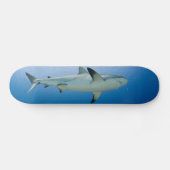 Shark Skateboard (Horizontaal)