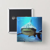 Shark Square Pin Vierkante Button 5,1 Cm (Voorkant /achterkant)