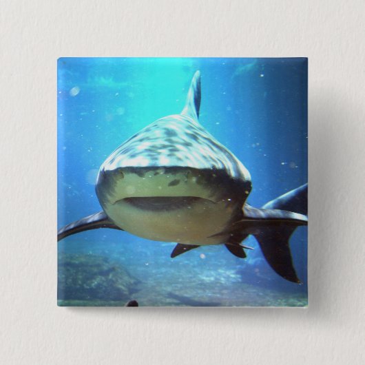 Shark Square Pin Vierkante Button 5,1 Cm (Voorkant)
