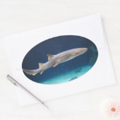 Shark Sticker (Envelop)