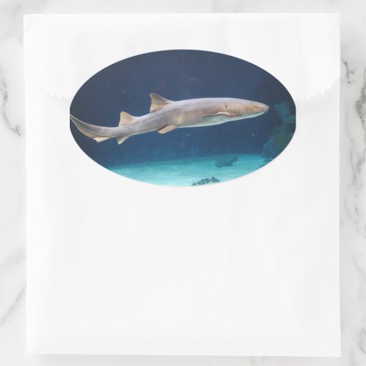 Shark Sticker (Tas)
