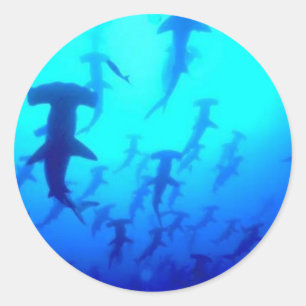 Shark Stickers