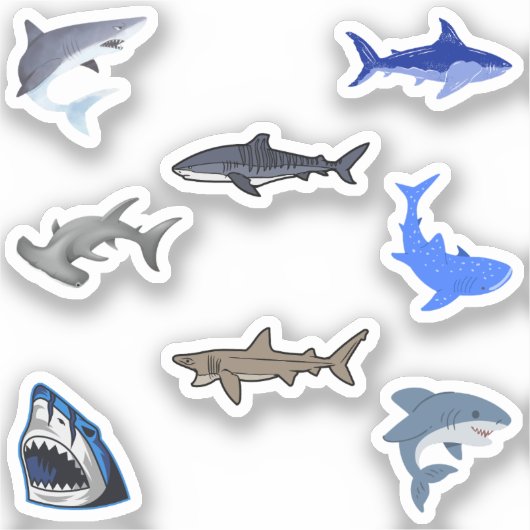 Shark Stickers (Voorkant)