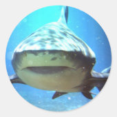 Shark Stickers (Voorkant)