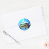 Shark Stickers (Envelop)