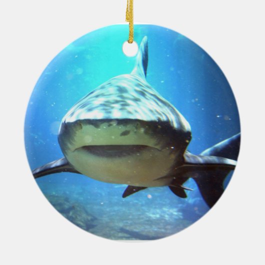 Shark Swimming Ornament (Achterkant)