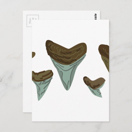 Shark Teeth Briefkaart (Voorkant / Achterkant)