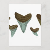 Shark Teeth Briefkaart (Voorkant)