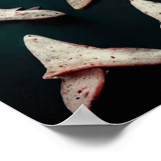 Shark Teeth: Poster (Hoek)
