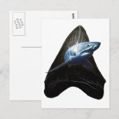 Shark Tooth Briefkaart (Voorkant / Achterkant)