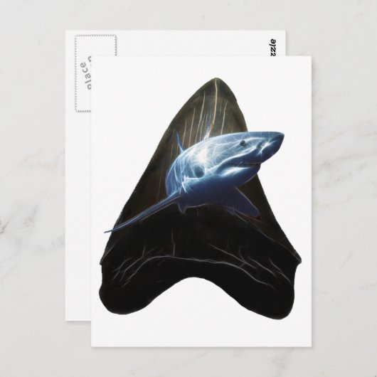 Shark Tooth Briefkaart (Voorkant / Achterkant)