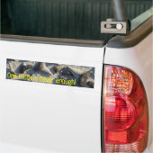 Shark Tooth Bumpersticker (Op Truck)