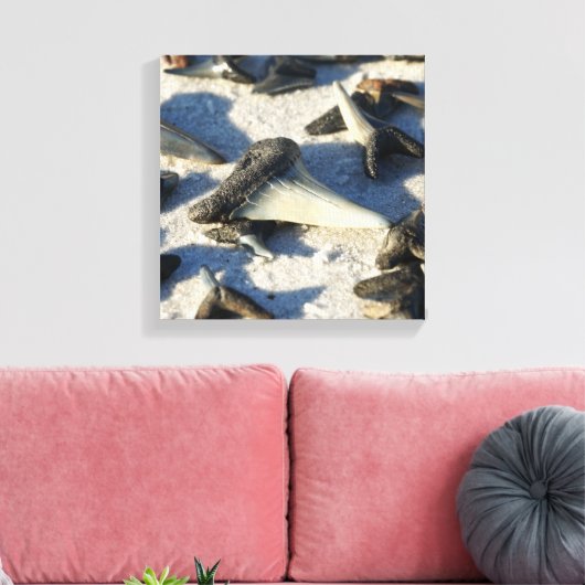 Shark Tooth Canvas Afdruk (Insitu (Woonkamer))