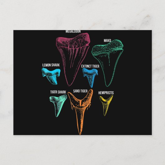 Shark Tooth Hunting - Crazy Shark Gifts Feestdagenkaart (Voorkant)
