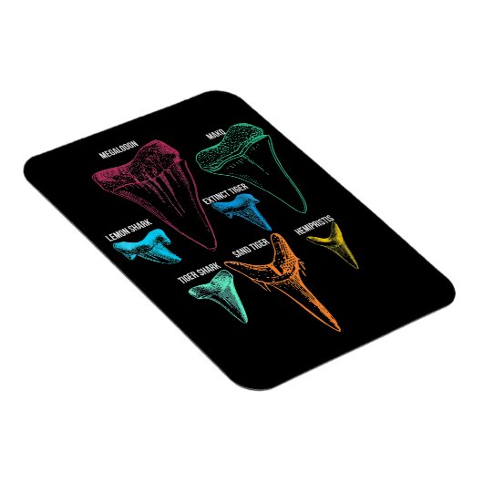Shark Tooth Hunting - Crazy Shark Gifts Magneet (Rechterzijde)
