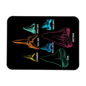 Shark Tooth Hunting - Crazy Shark Gifts Magneet (Horizontaal)