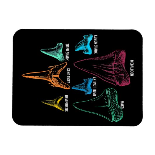 Shark Tooth Hunting - Crazy Shark Gifts Magneet (Horizontaal)