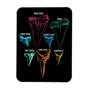 Shark Tooth Hunting - Crazy Shark Gifts Magneet