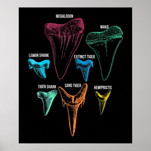 Shark Tooth Hunting - Crazy Shark Gifts Poster (Voorkant)