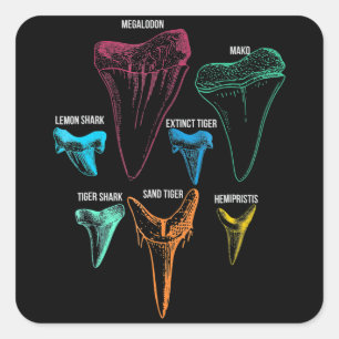 Shark Tooth Hunting - Crazy Shark Gifts Vierkante Sticker