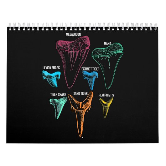 Shark Tooth Hunting Identity Key Kalender (Hoes)