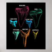 Shark Tooth Hunting Identity Key Poster (Voorkant)