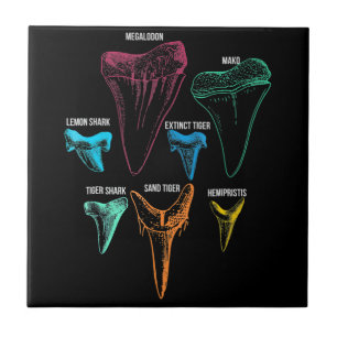 Shark Tooth Hunting Identity Key Tegeltje