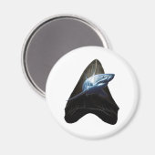 Shark Tooth Magneet (Voorkant / Achterkant)