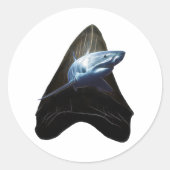 Shark Tooth Ronde Sticker (Voorkant)