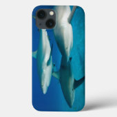 Shark Trio Pad Case (Achterkant)