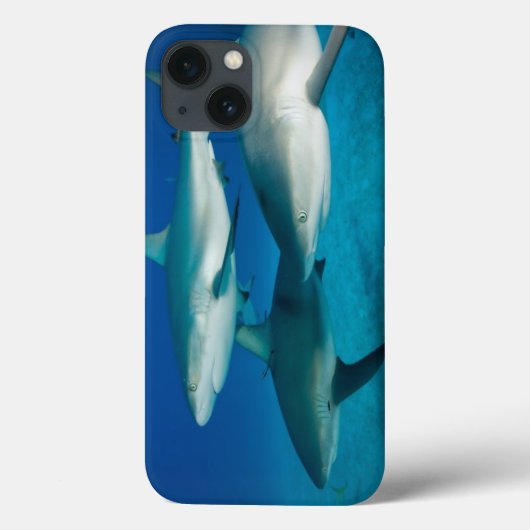 Shark Trio Pad Case (Achterkant)