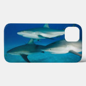 Shark Trio Pad Case (Achterkant (horizontaal))