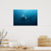 Shark under water poster (Keuken)