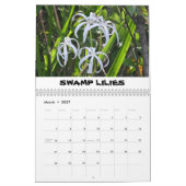 Shark Valley Calendar Kalender (Mar 2027)