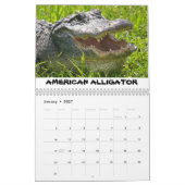 Shark Valley Calendar Kalender (Jan 2027)