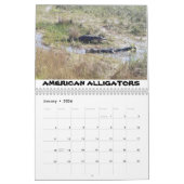 Shark Valley Calendar Kalender (Jan 2026)