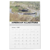 Shark Valley Calendar Kalender (Jan 2027)