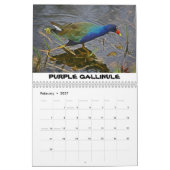 Shark Valley Calendar Kalender (Feb 2027)