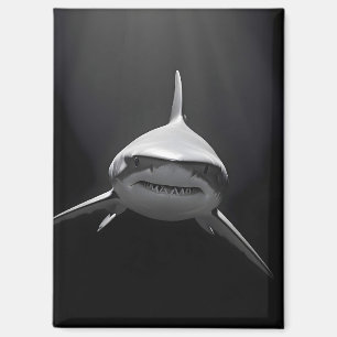 Shark Wildlife Majestic Natuur Life Ocean Poster Magneet