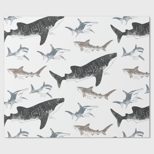 Shark Wrapping-papier Cadeaupapier (Vlak)
