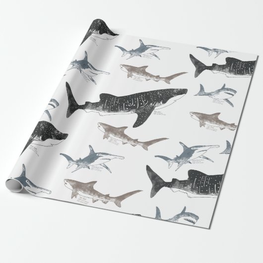 Shark Wrapping-papier Cadeaupapier (Uitgerold)