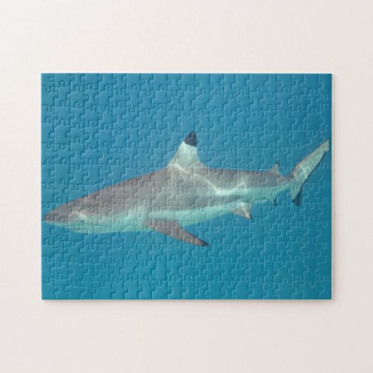 Shark zwemmen onder water puzzel (Horizontaal)