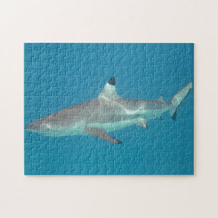 Shark zwemmen onder water puzzel legpuzzel