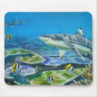 sharkfiji muismat