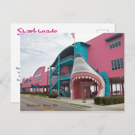 Sharkhead Souvenir Shop - Biloxi MS Briefkaart (Voorkant / Achterkant)