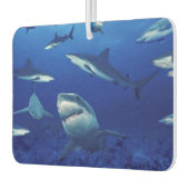 Sharks Air Freshener Luchtverfrisser (Links)