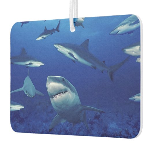 Sharks Air Freshener Luchtverfrisser (Links)